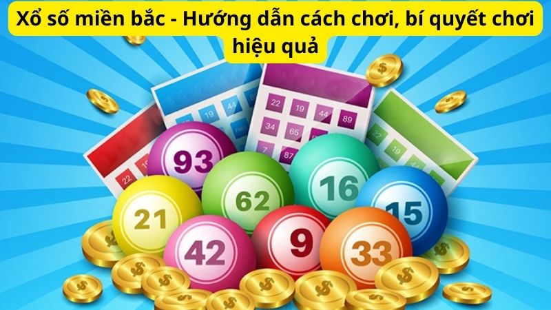Mẹo đánh rồng hổ - Hướng dẫn từ A đến Z để thành công 8 Xổ số miền bắc - Hướng dẫn cách chơi, bí quyết chơi hiệu quả